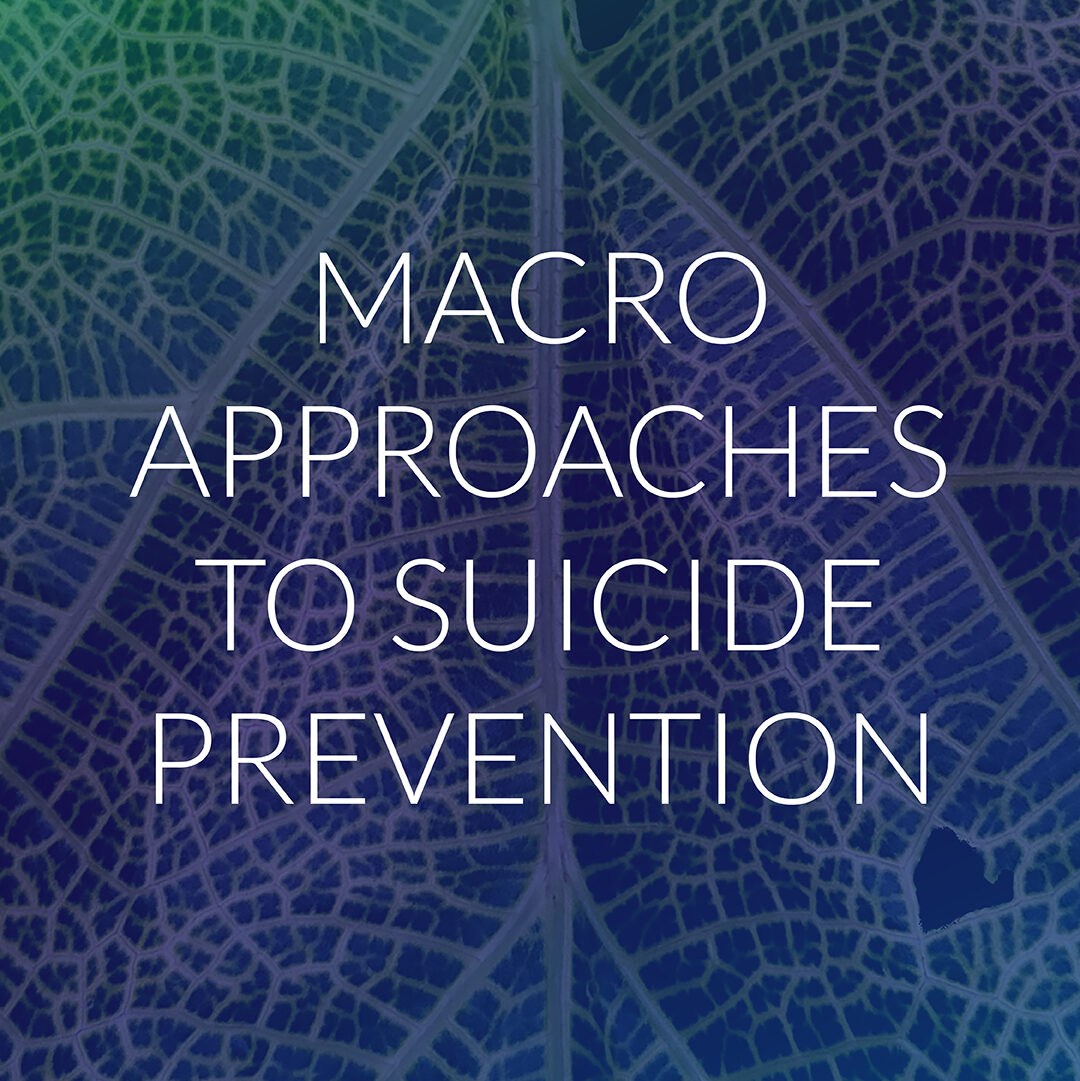 Macro Approaches To Suicide Prevention Cummings Institute