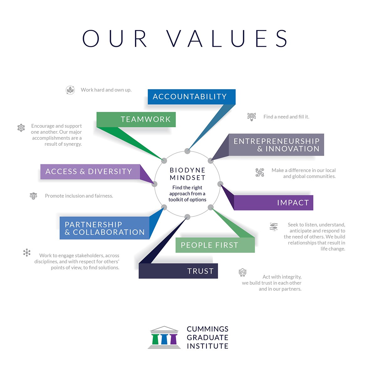 Mission, Vision and Values - Cummings Institute